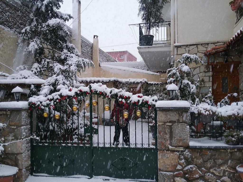 Ferienwohnung Patriko Arachova Exterior foto